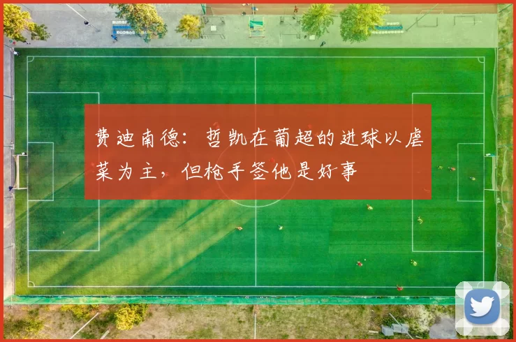费迪南德：哲凯在葡超的进球以虐菜为主，但枪手签他是好事