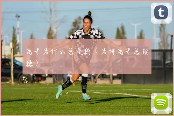 高手为什么总是稳（为何高手总能稳）