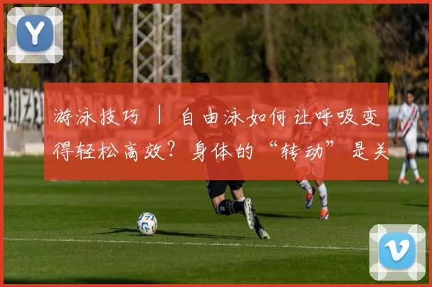 游泳技巧 ｜ 自由泳如何让呼吸变得轻松高效？身体的“转动”是关键