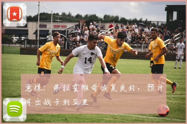 意媒：弗拉霍维奇恢复良好，预计可出战卡利亚里