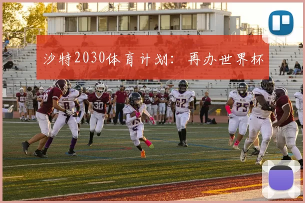 沙特2030体育计划：再办世界杯