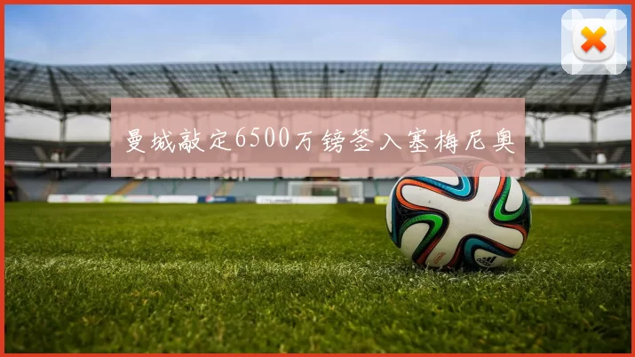 曼城敲定6500万镑签入塞梅尼奥