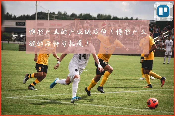 博彩产业的产业链延伸（博彩产业链的延伸与拓展）