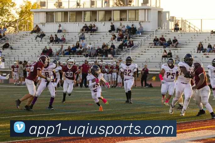 u球体育平台生态图